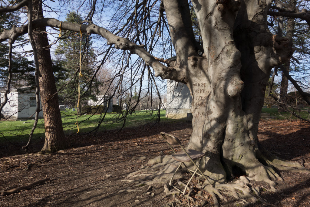Text carved in a tree